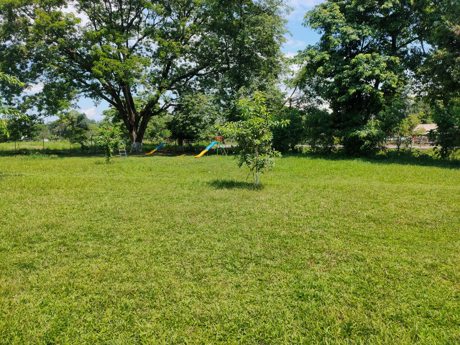 Playground Image